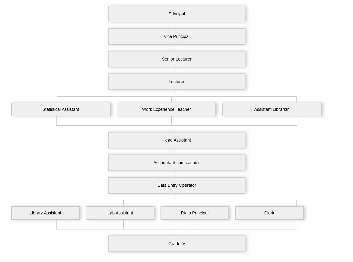 Organization Chart